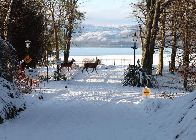 Lake Lodge Guesthouse Killarney Bagian luar foto